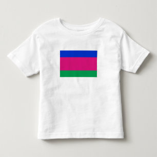 九番人民共和国国旗 トドラーTシャツ