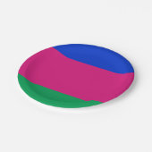 九番人民共和国国旗 ペーパープレート (アングル)