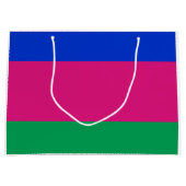 九番人民共和国国旗 ラージペーパーバッグ (正面)