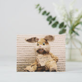 乞食バニー、ウサギのスーツおもしろい。 ポストカード (スタンド正面)