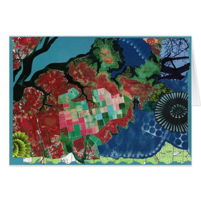 乱れの木 (正面横)