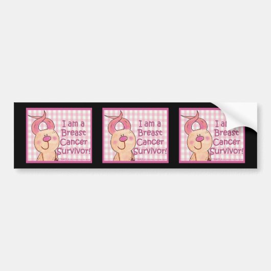 乳がんを克服した人 バンパーステッカー (正面)