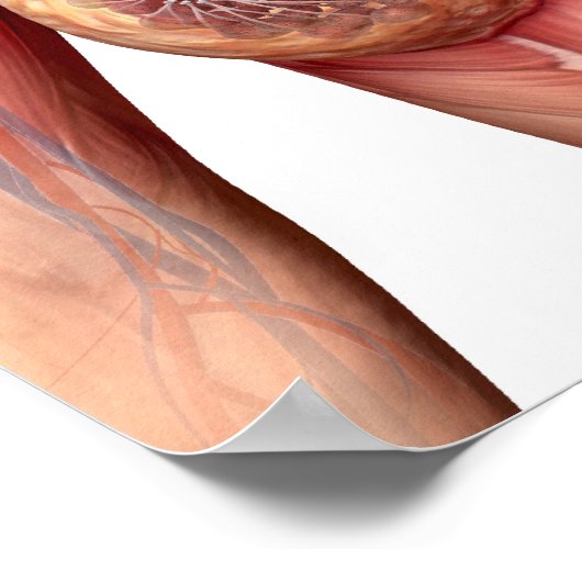 乳がん ポスター (角)