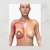 乳がん ポストカード (正面)