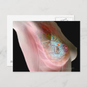 乳がん ポストカード (正面/裏面)