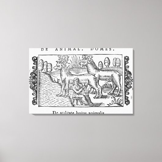 乳しぼりのトナカイ キャンバスプリント (正面)