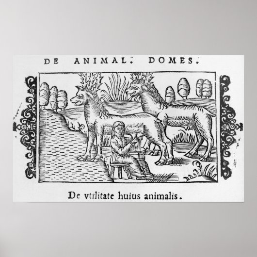 乳しぼりのトナカイ ポスター (正面)