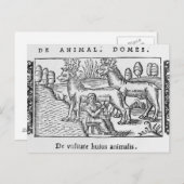 乳しぼりのトナカイ ポストカード (正面/裏面)