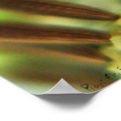 乳の光線 ポスター (角)