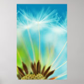 乳の光線 ポスター (正面)