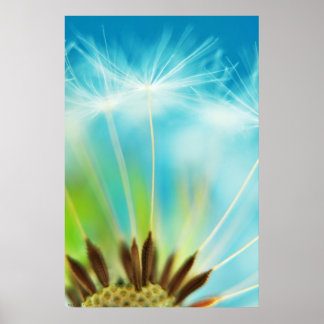 乳の光線 ポスター