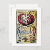 '乳児の喜び',プレート23 '無垢の歌から ポストカード (正面/裏面)