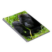 乳児マウンテンゴリラキスシルバーバックゴリラ ノートブック (右側)