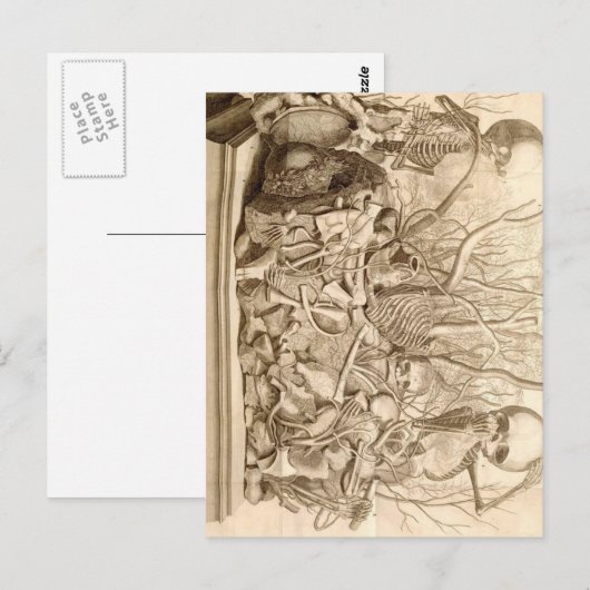 乳児清掃 ポストカード (正面/裏面)