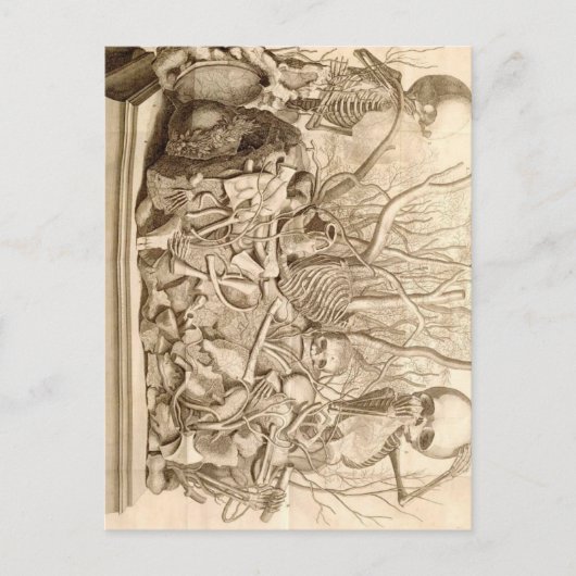 乳児清掃 ポストカード (正面)