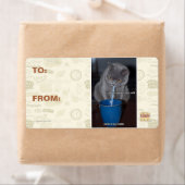 乳吹に含まれる泡 ラベル (インサイチュ)