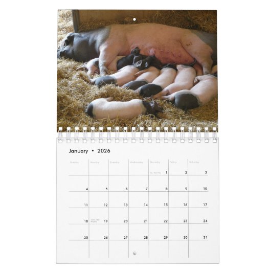 乳母動物 カレンダー (1月 2026)
