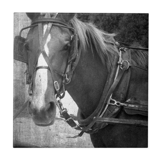 乳母車馬アットザヒッチングポスト タイル (正面)