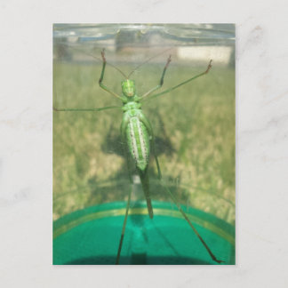 乳母車1 – 教育された脳梗塞 ポストカード