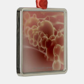 乳液のmicrospheresの顕微鏡の概観 メタルオーナメント (右)