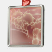 乳液のmicrospheresの顕微鏡の概観 メタルオーナメント (左)