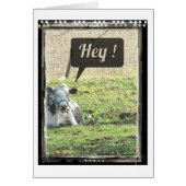 乳牛おい！ (正面)