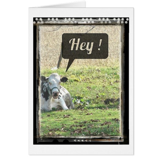 乳牛おい！ (正面)