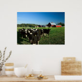 乳牛とレッドバーンプリント ポスター (キッチン)