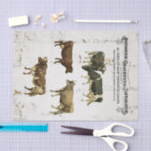 乳牛のヴィンテージのスタイルの古く素朴な牛 薄葉紙 (クラフト)