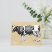 乳牛 ポストカード (スタンド正面)