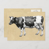 乳牛 ポストカード (正面/裏面)
