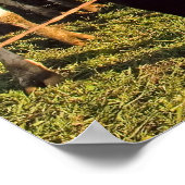 乳牛、レッドバーンと山レイニアプリント ポスター (角)