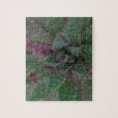 乳白色の多肉植物、緑の紫、自然、植物 ジグソーパズル (縦)