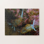 乳白色のNudibranchs ジグソーパズル (横)