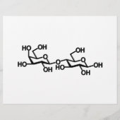 乳糖乳構造 チラシ (裏面)