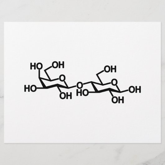 乳糖乳構造 チラシ (裏面)