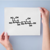 乳糖乳構造 チラシ (手)