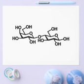 乳糖乳構造 チラシ (シングル)