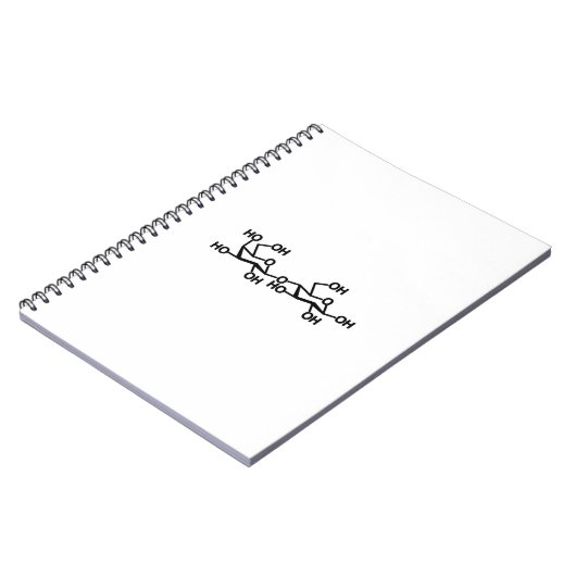 乳糖乳構造 ノートブック (左側)