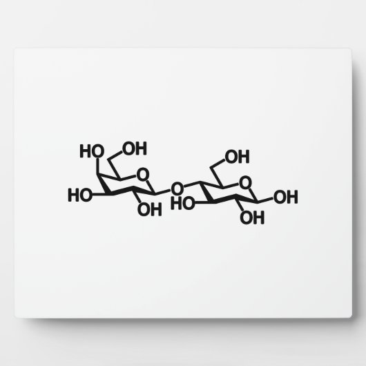 乳糖乳構造 フォトプラーク (正面)