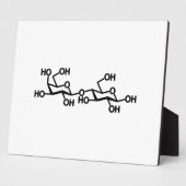 乳糖乳構造 フォトプラーク (側面)