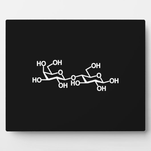 乳糖乳構造 フォトプラーク (正面)