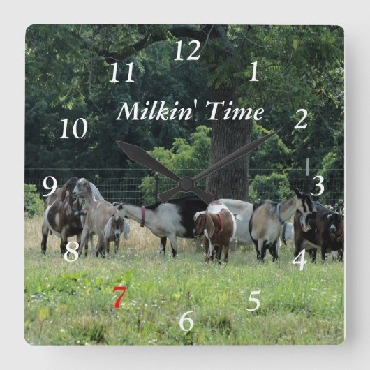 乳製品のヤギカスタマイズ時計- – サイズを選択 スクエア壁時計 (正面)