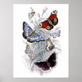 乳頭 ポスター (正面)