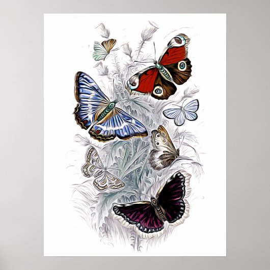 乳頭 ポスター (正面)