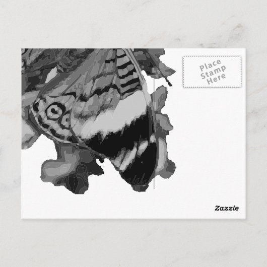 乳頭 ポストカード (裏面)