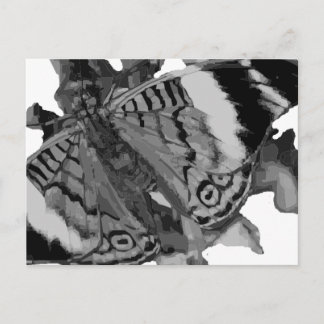 乳頭 ポストカード