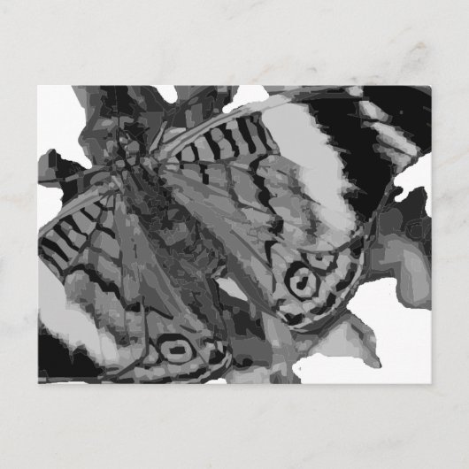 乳頭 ポストカード (正面)