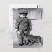 乳食べ物を与え瓶入りの子どもの子豚 ポストカード (正面/裏面)