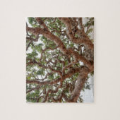 乳香の木、Homhilのプラトー、ソコトラ島島 ジグソーパズル (縦)